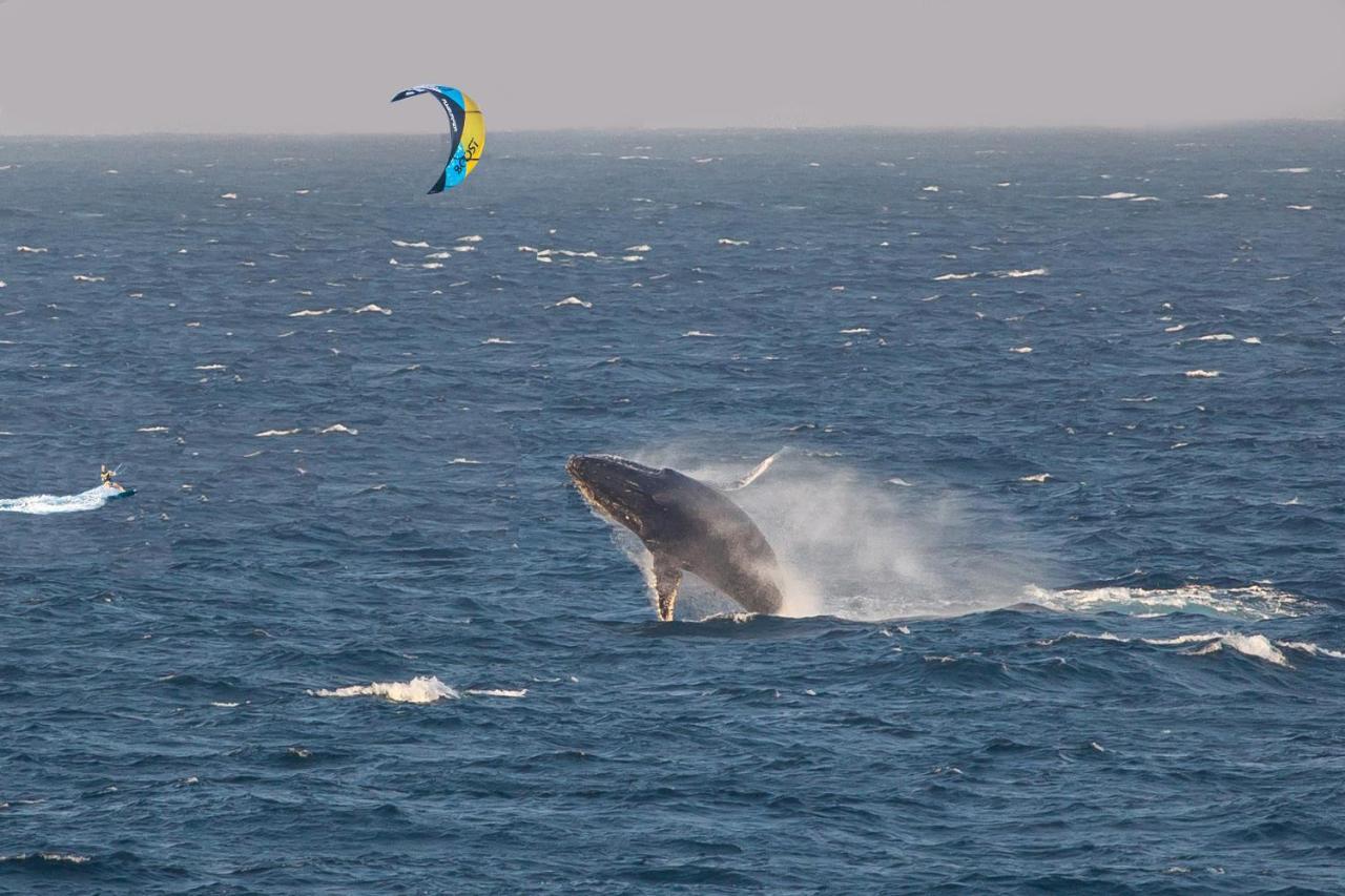 Kitesurf Tofo House Vandrehjem Eksteriør billede